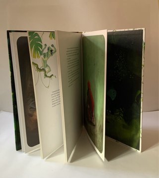 EL LLIBRE DE LA JUNGLA