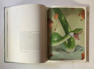 EL LLIBRE DE LA JUNGLA