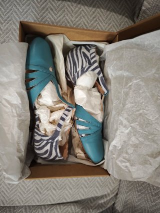 Zapatos de baile azules y cebra nuevos