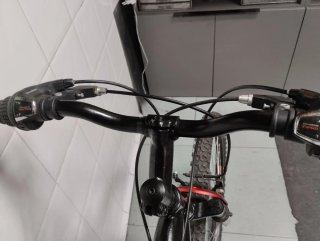 Bicicleta de Montaña