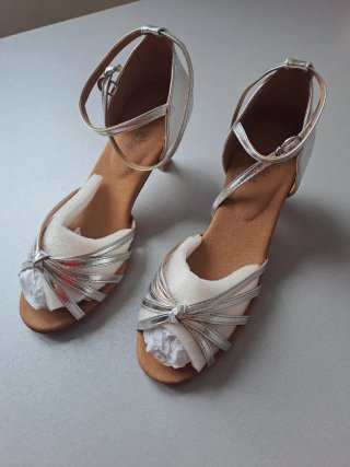 Zapatos de Baile Latino Plateados