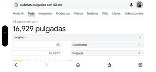 Silla Doma C. Don Rodrigo talla 17 modelo Kanon I.