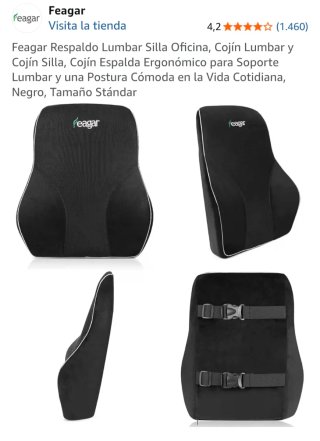 Cojín Lumbar Silla Oficina y Coche Feagar