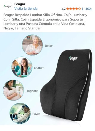 Cojín Lumbar Silla Oficina y Coche Feagar