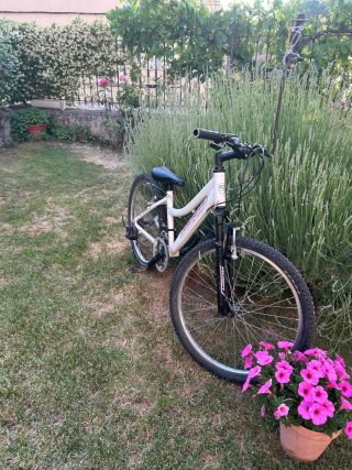 Bicicleta de Montaña Blanca y Rosa