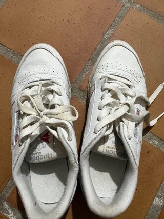 Tenis Reebok Classic Blancos