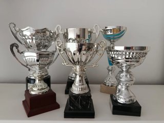 Trofeos Deportivos Varios Tamaños