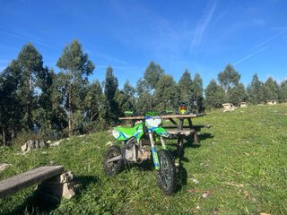 Pit Bike Roan RFZ 140 XL Verde
