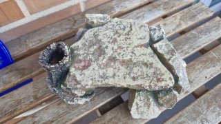 Plataforma para tortugas