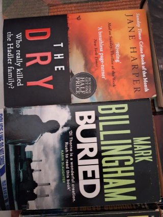 Lote 10 libros en inglés