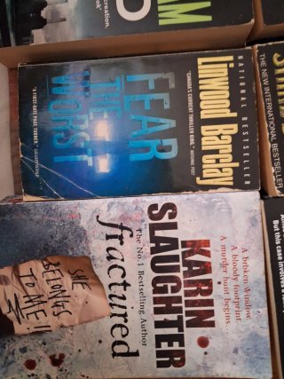 Lote 10 libros en inglés