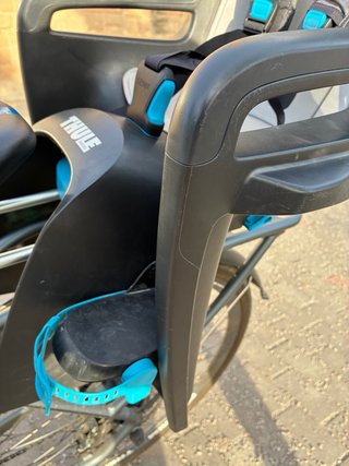 Thule Ride Along Silla Bicicleta Infantil