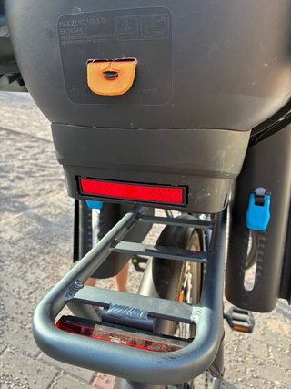 Thule Ride Along Silla Bicicleta Infantil