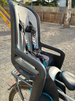Thule Ride Along Silla Bicicleta Infantil