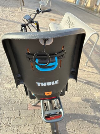 Thule Ride Along Silla Bicicleta Infantil