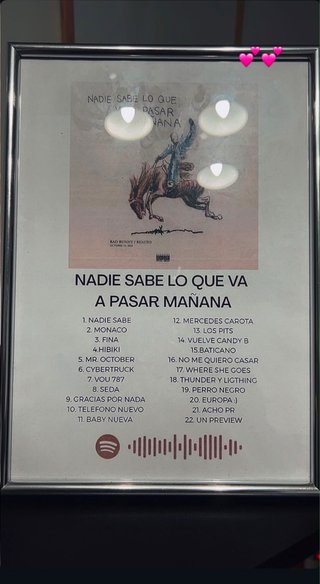 Cuadro Álbum Nadie Sabe Lo Que Va A Pasar Mañana