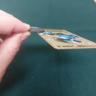 Carta metálica Pokémon Blastoise