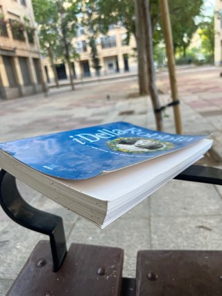 Libro Robbia e l'arte nuova Giunti