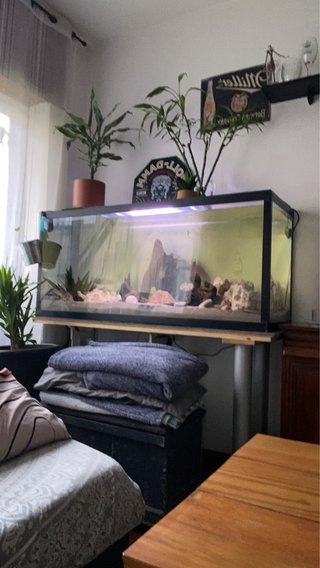 Cambio acuario completo por bicicleta o Xbox