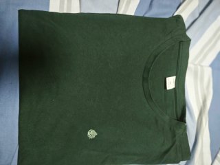 Lote 2XL polos y camisetas verdes y blancas