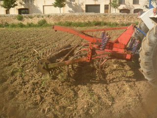 Cultivador Jympa 7 brazos