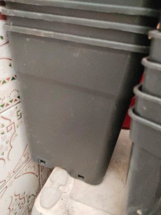 Conjunto macetas varios tamaños