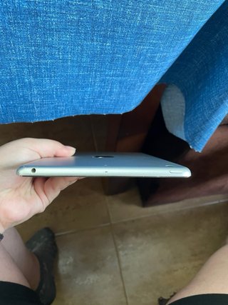 iPad Mini 2