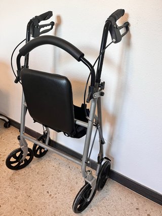 Carrito andador con asiento