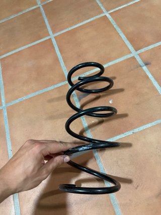 Bmw Muelles Eibach traseros  Muelles monroe del