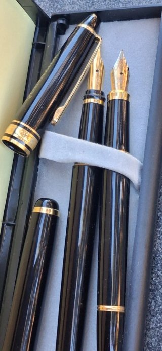 Set 2 Stilografiche Croneparina e quinazide penne
