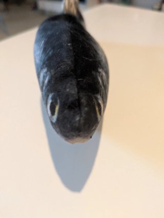 Juguete interactivo para gatos con forma de pez