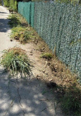 SERVICIOS DE PALETERÍA Y JARDINERÍA