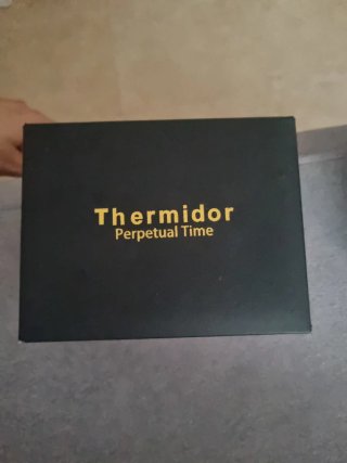 Reloj Thermidor Oro y Plata