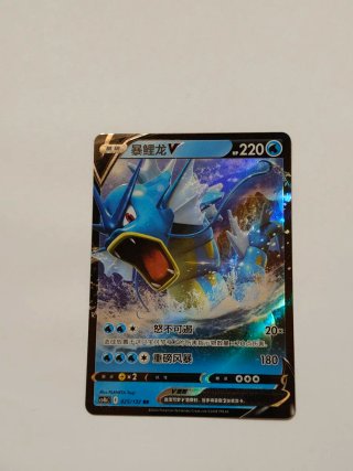Carte Pokémon Gyarados 025/132 RR