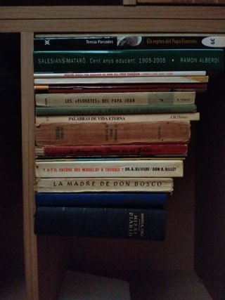 17 Libros religiosos variados