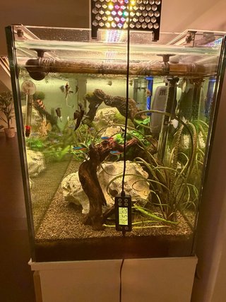 Acuario completo Eheim 250L