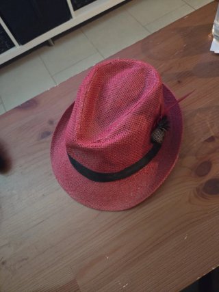 Sombrero rosa con pluma