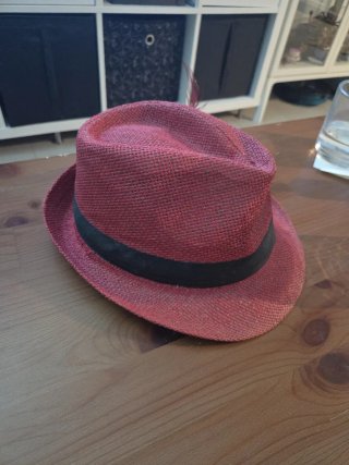 Sombrero rosa con pluma