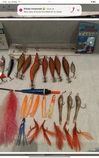Lote Pesca: Cañas, Carretes, Aletas Mares, Bolsa S