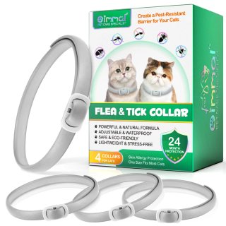 4 Collari per gatti