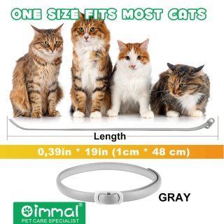 4 Collari per gatti
