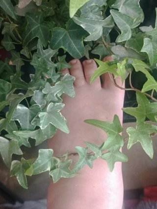 Fotos de pies