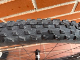 Rueda Bontrager 29 Vittoria Barzo