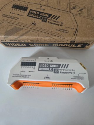 Flipper Video Game Module Nuovo