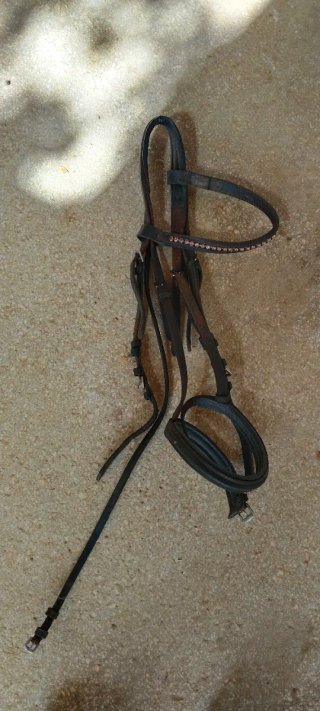 Máscara Bucas para caballos
