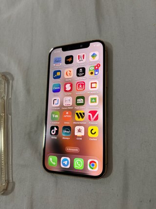 iPhone 12 Pro Dorado + Funda y Cable