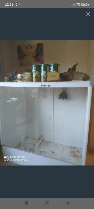 Terrario para reptiles