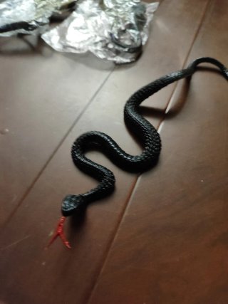 Serpiente de juguete nueva a estrenar