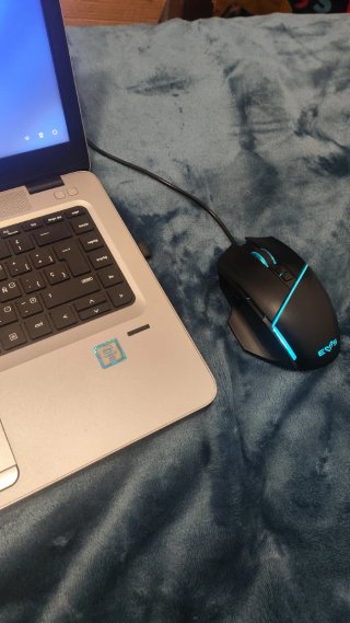Ratón Gaming EVS