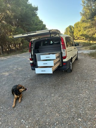 Mercedes-Benz Vito 2010